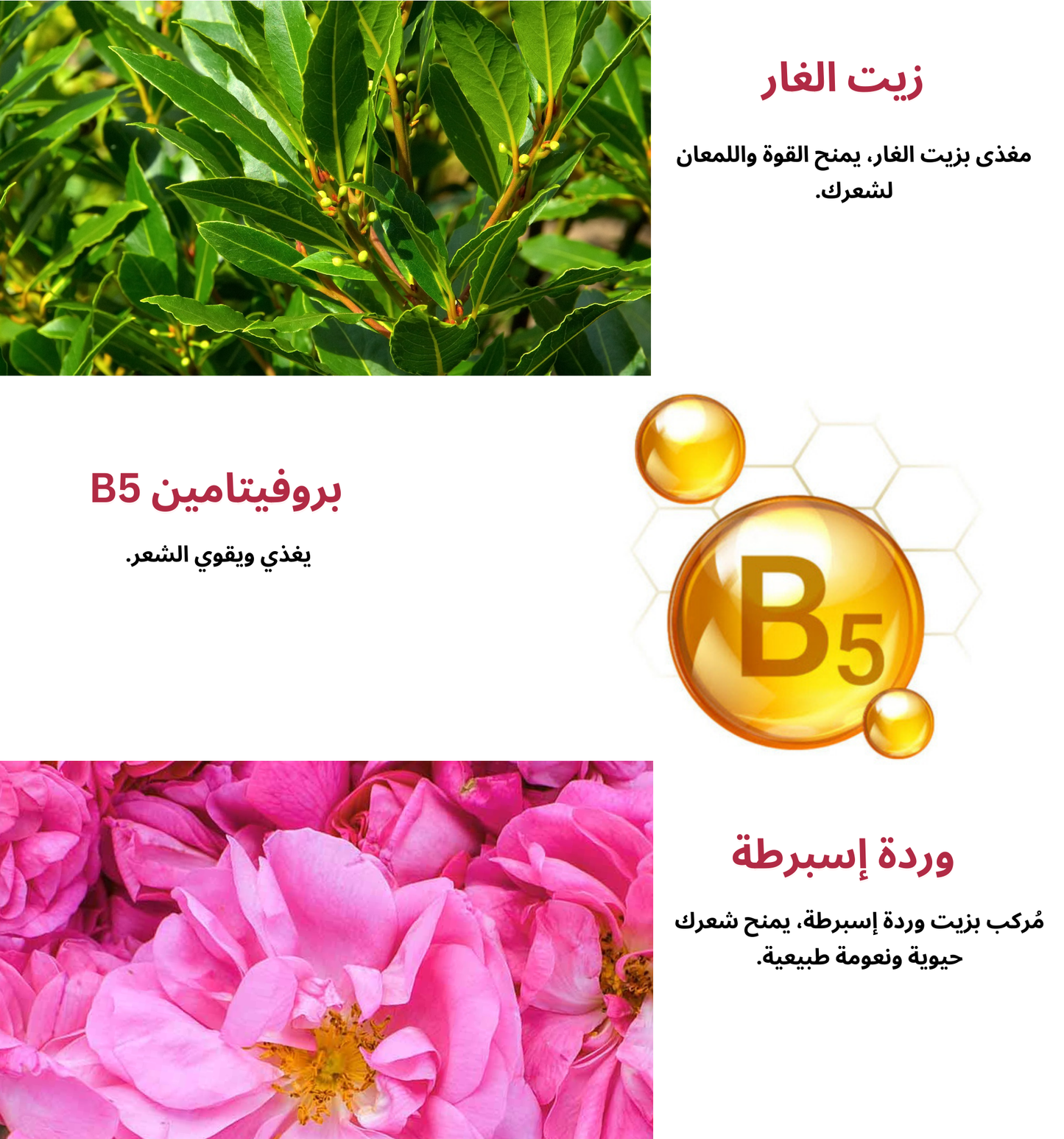 شامبو بار بالغار والورد